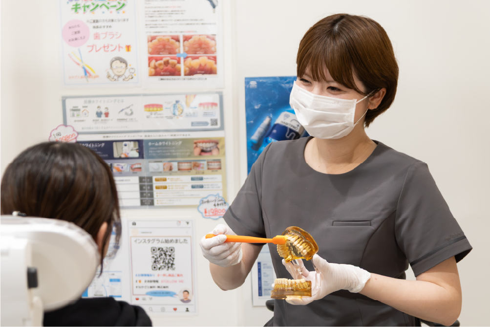 患者様に歯の模型を使って説明する様子